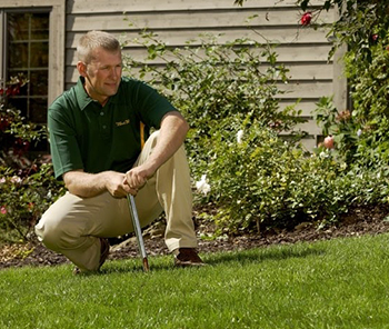 Service d'amendement de sol Weed Man